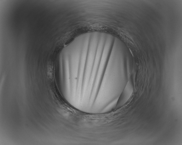 X0000076070033200610061614