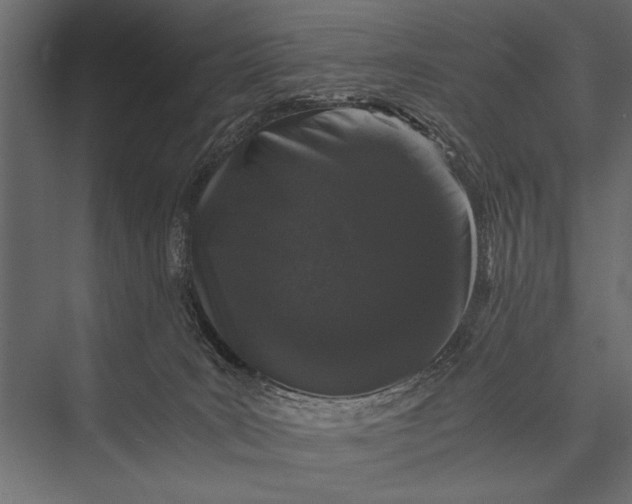 X0000076070035200610061614