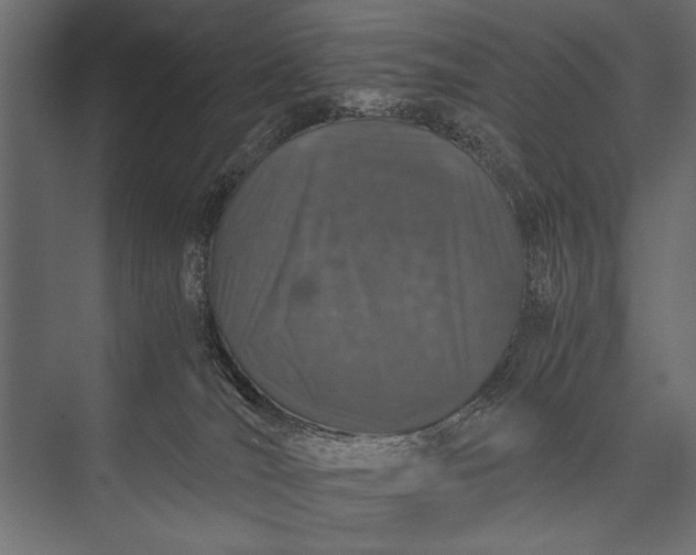 X0000076070036200610061614