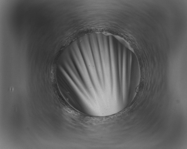 X0000076070037200610061614