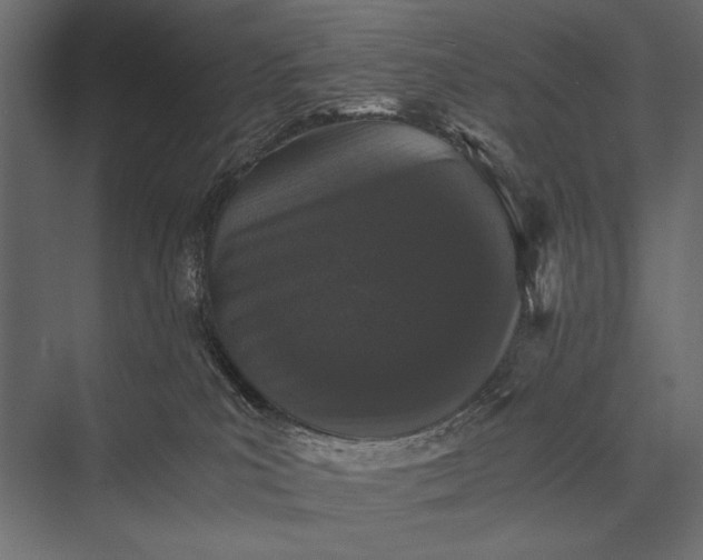 X0000076070039200610061613