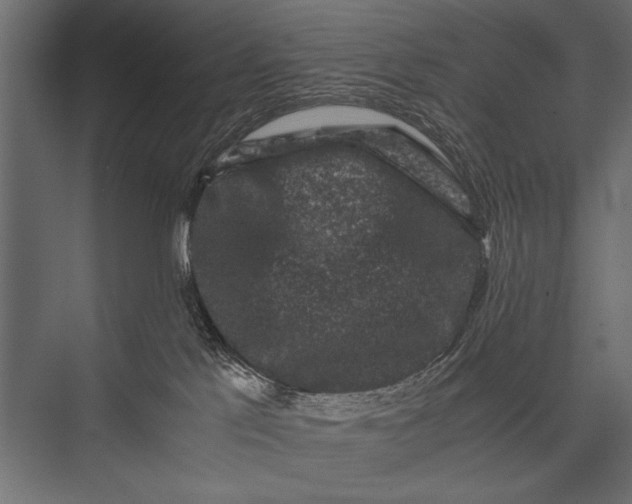 X0000076070041200610061613