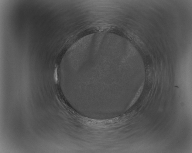 X0000076070042200610061613