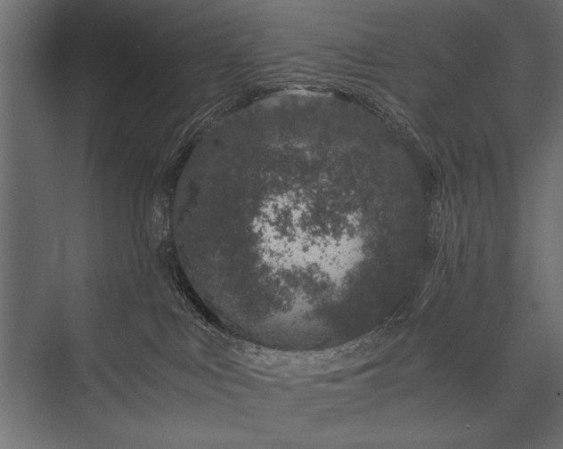 X0000076070043200610061613