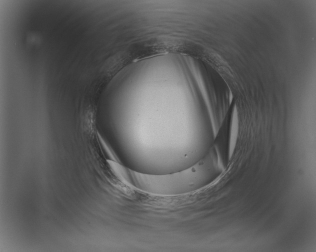 X0000076070045200610061613