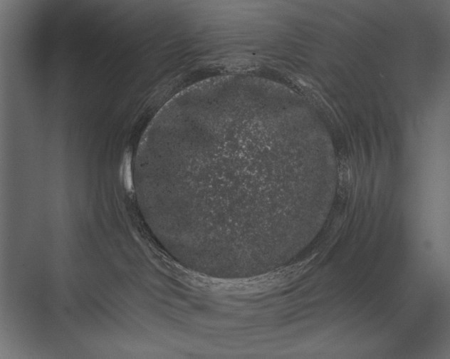 X0000076070046200610061613