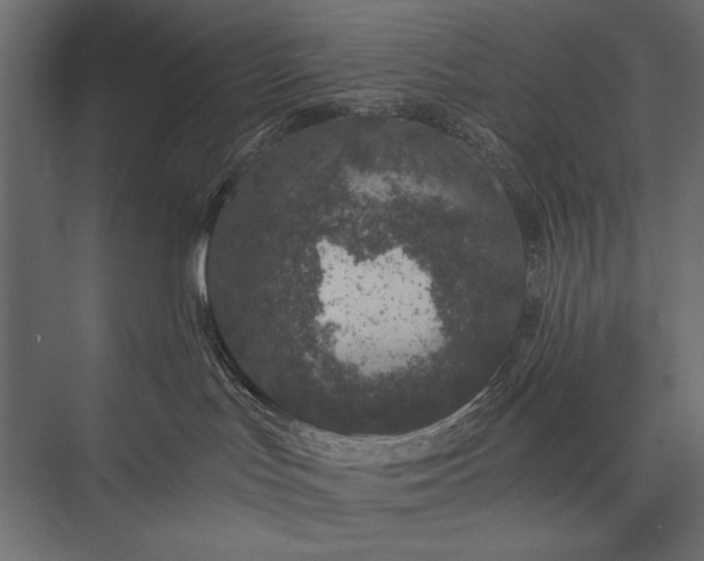 X0000076070047200610061613