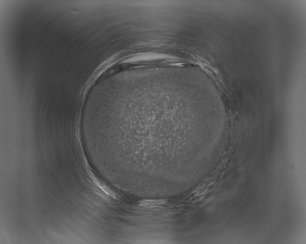 X0000076070051200610061613