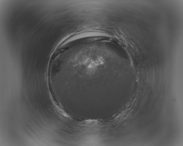 X0000076070052200610061613