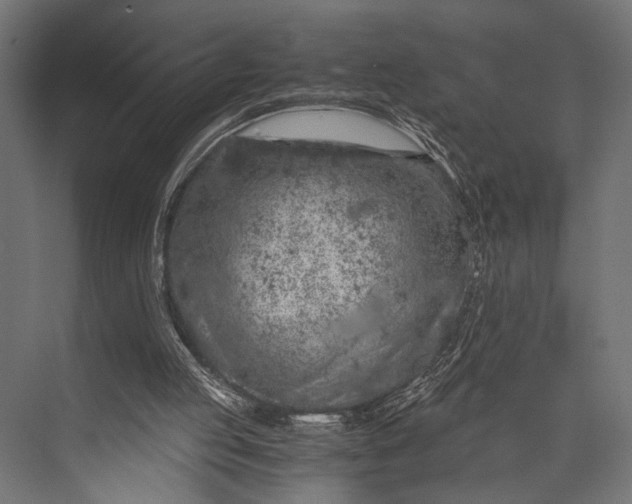 X0000076070053200610061613