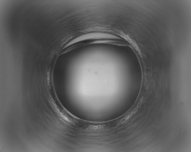 X0000076070057200610061613