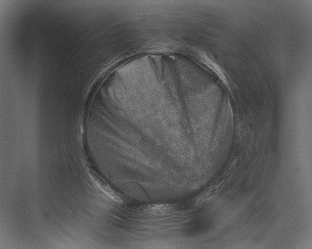 X0000076070059200610061613