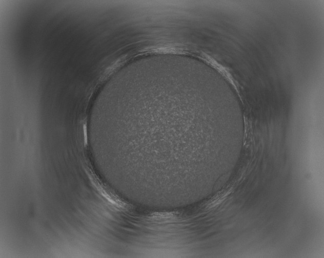 X0000076070061200610061613