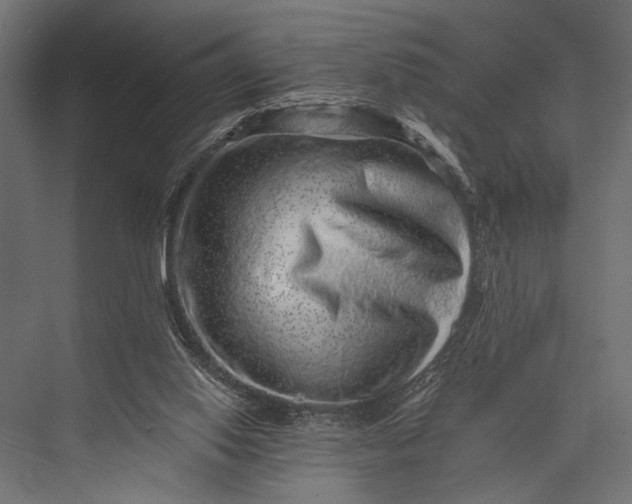 X0000076070062200610061613