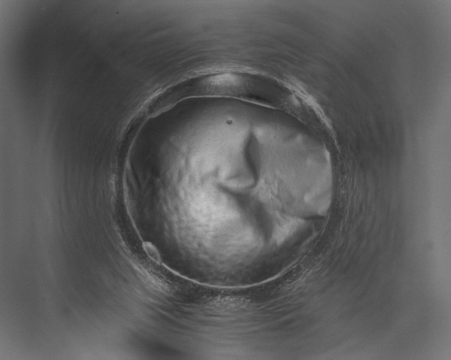 X0000076070063200610061613