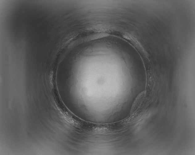 X0000076070066200610061613