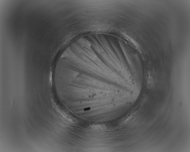 X0000076070067200610061613