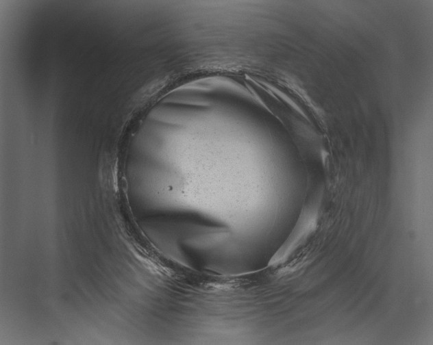 X0000076070068200610061613