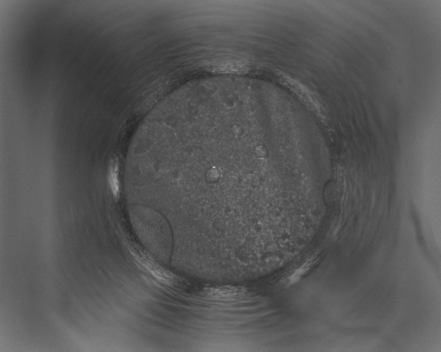 X0000076070069200610061613