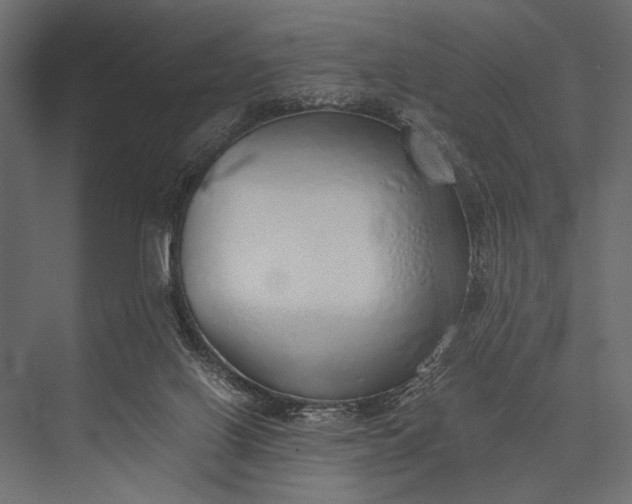 X0000076070070200610061613