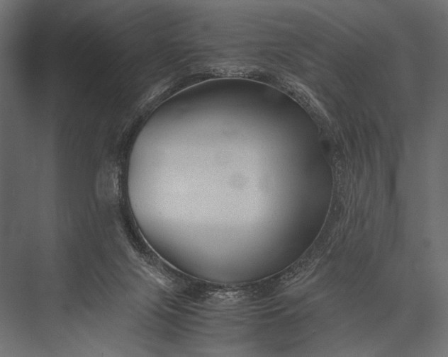 X0000076070071200610061613