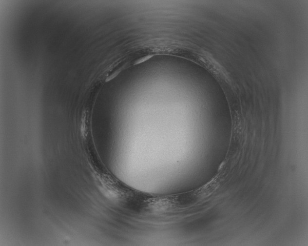 X0000076070074200610061613