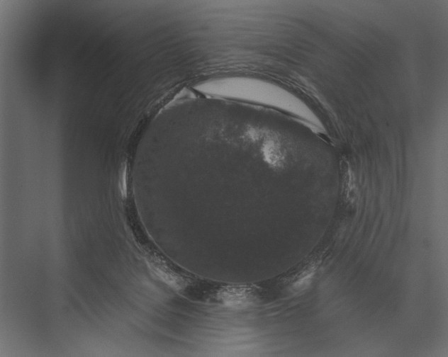 X0000076070076200610061613