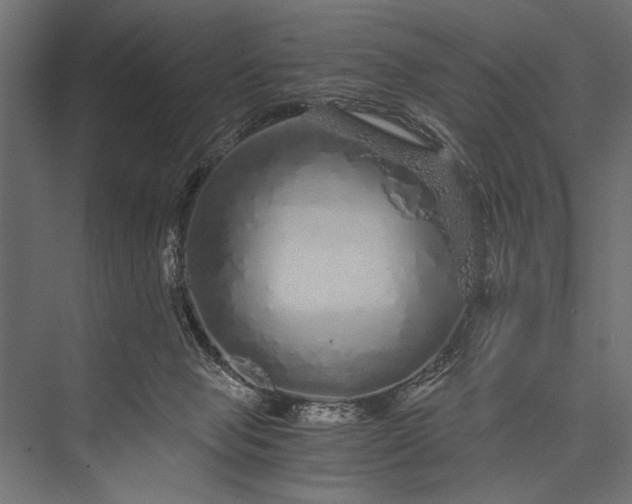 X0000076070077200610061613