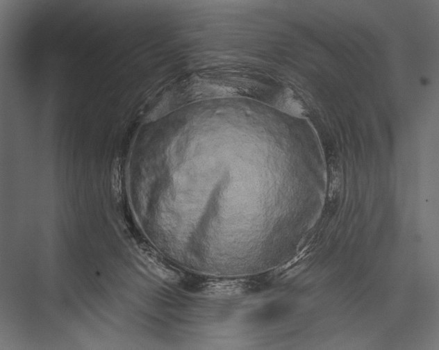 X0000076070078200610061613