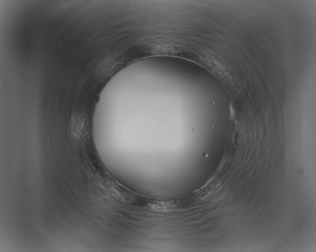 X0000076070079200610061613