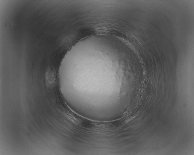 X0000076070081200610061613