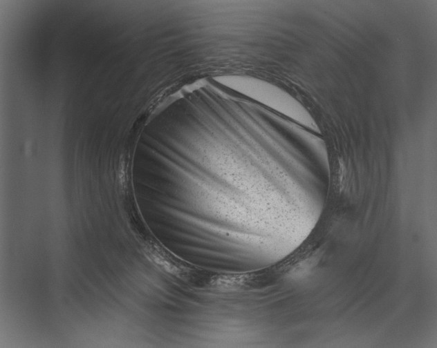 X0000076070084200610061613