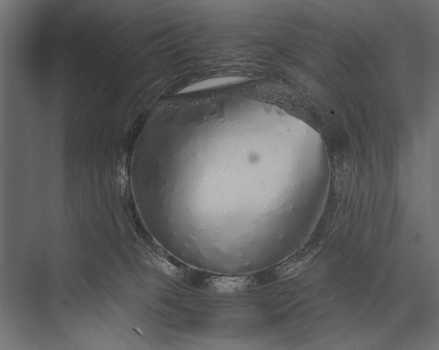 X0000076070085200610061613