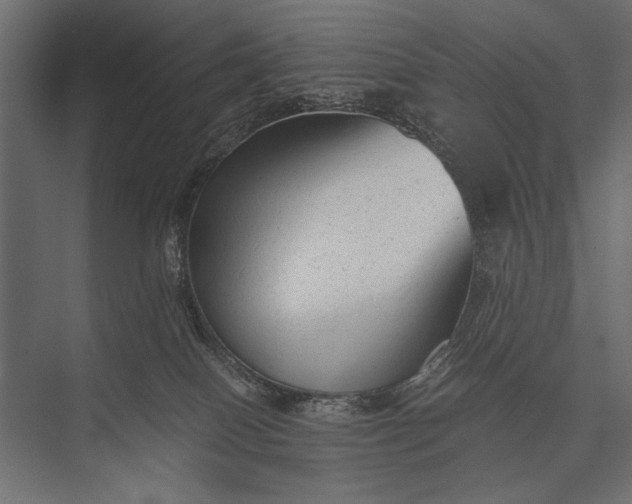 X0000076070086200610061613