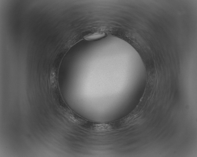 X0000076070087200610061613