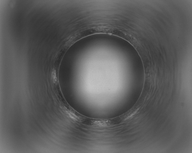 X0000076070089200610061613