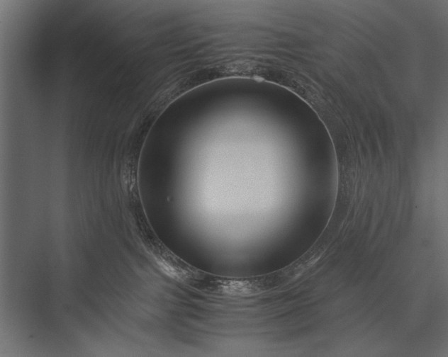 X0000076070091200610061613