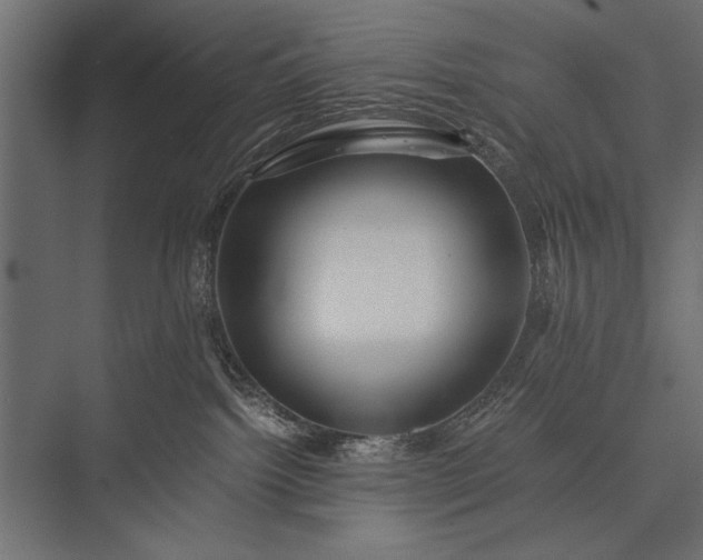 X0000076070092200610061613