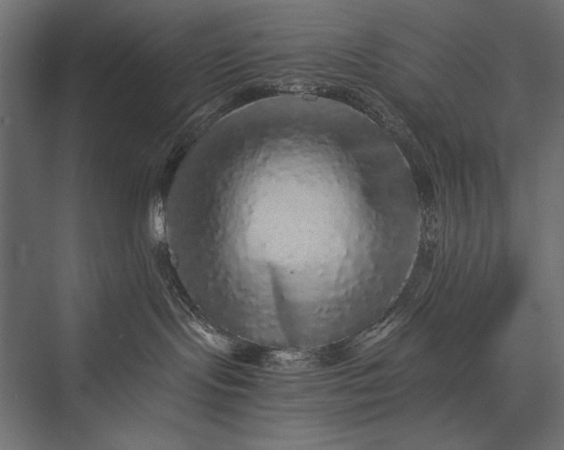 X0000076070095200610061613