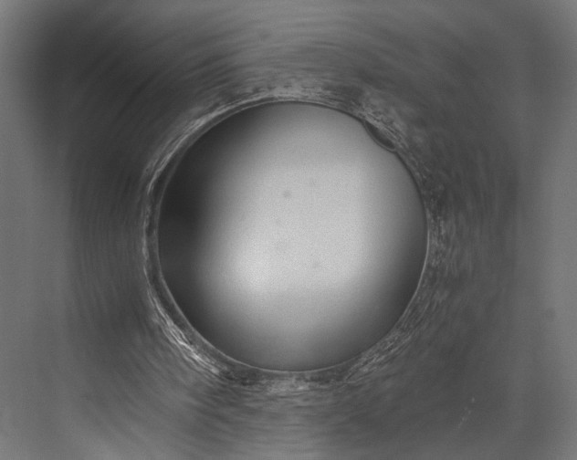 X0000076070098200610061612