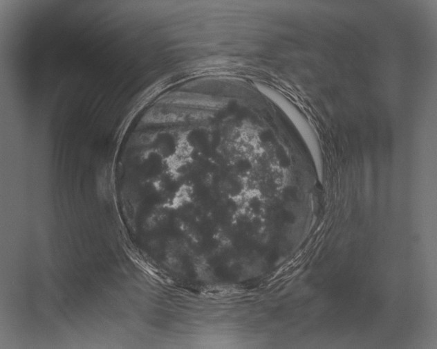 X0000076070099200610061612