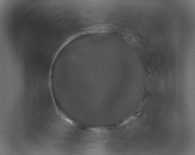 X0000076070100200610061612