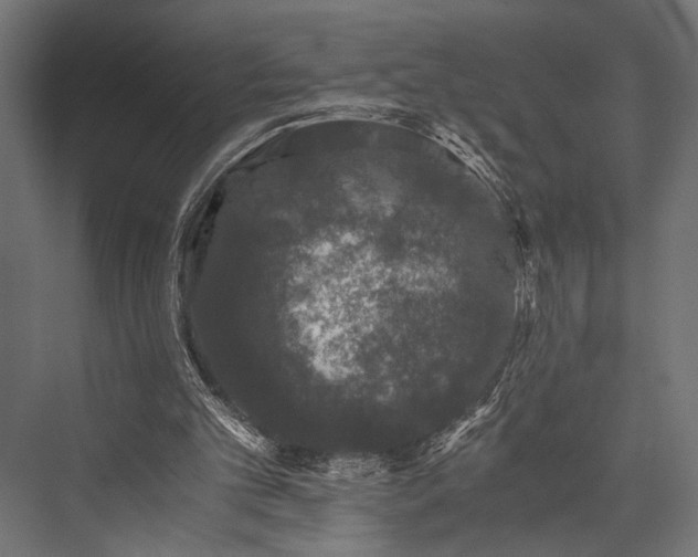 X0000076070101200610061612