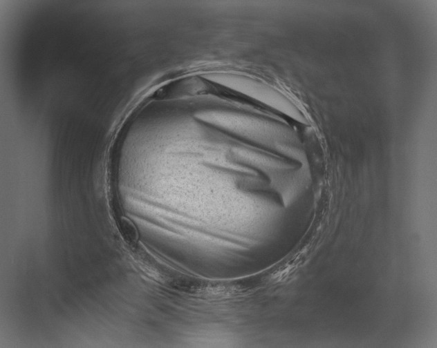 X0000076070103200610061612