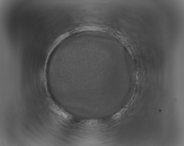 X0000076070104200610061612