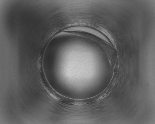 X0000076070105200610061612