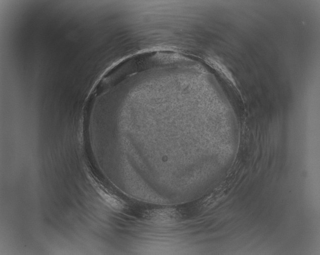 X0000076070108200610061612