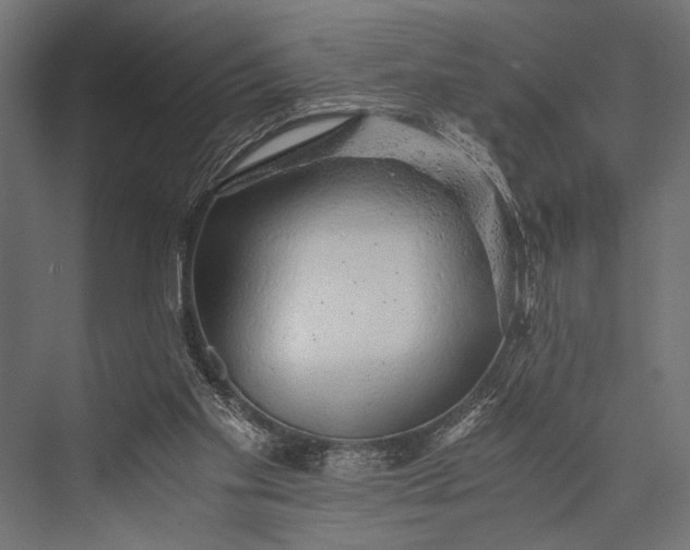 X0000076070109200610061612