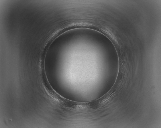 X0000076070111200610061612