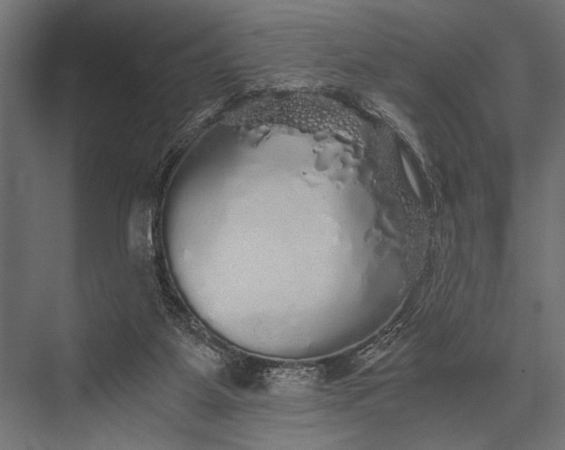 X0000076070115200610061612